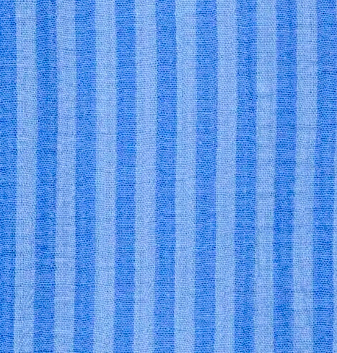Blueberry iPad Pouch